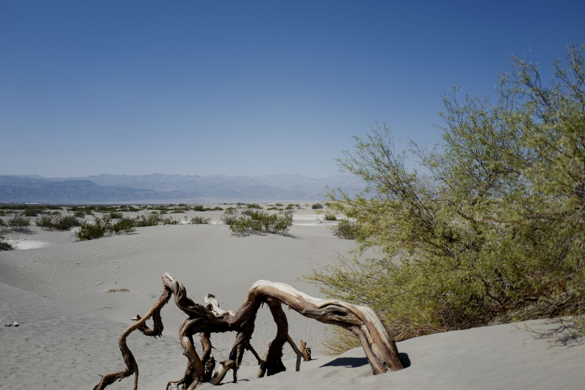 Blick auf die Sanddüne der Mesquite Ebene im Death Valley