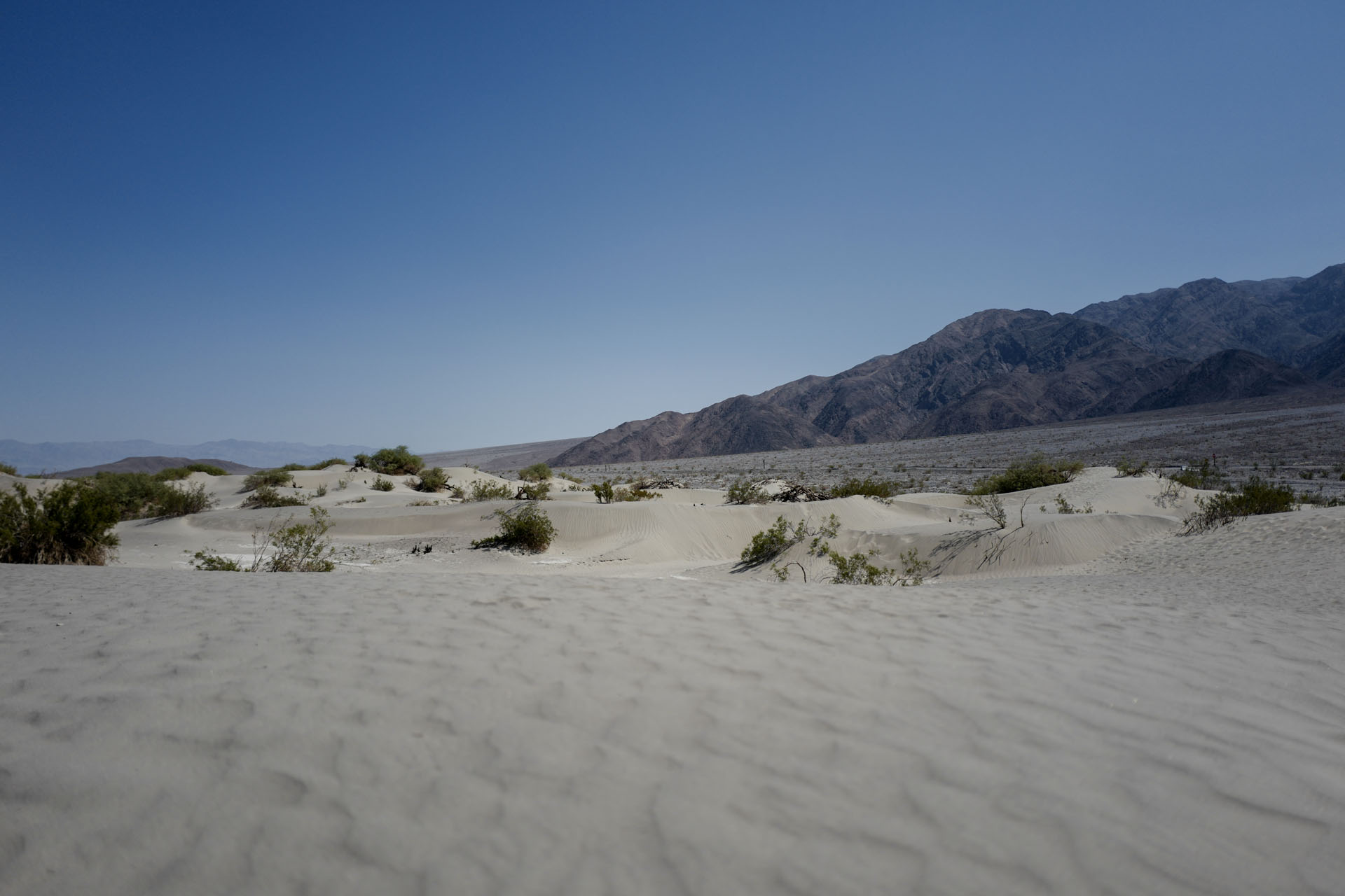 Blick auf die Mesquite Sanddüne im Death Valley