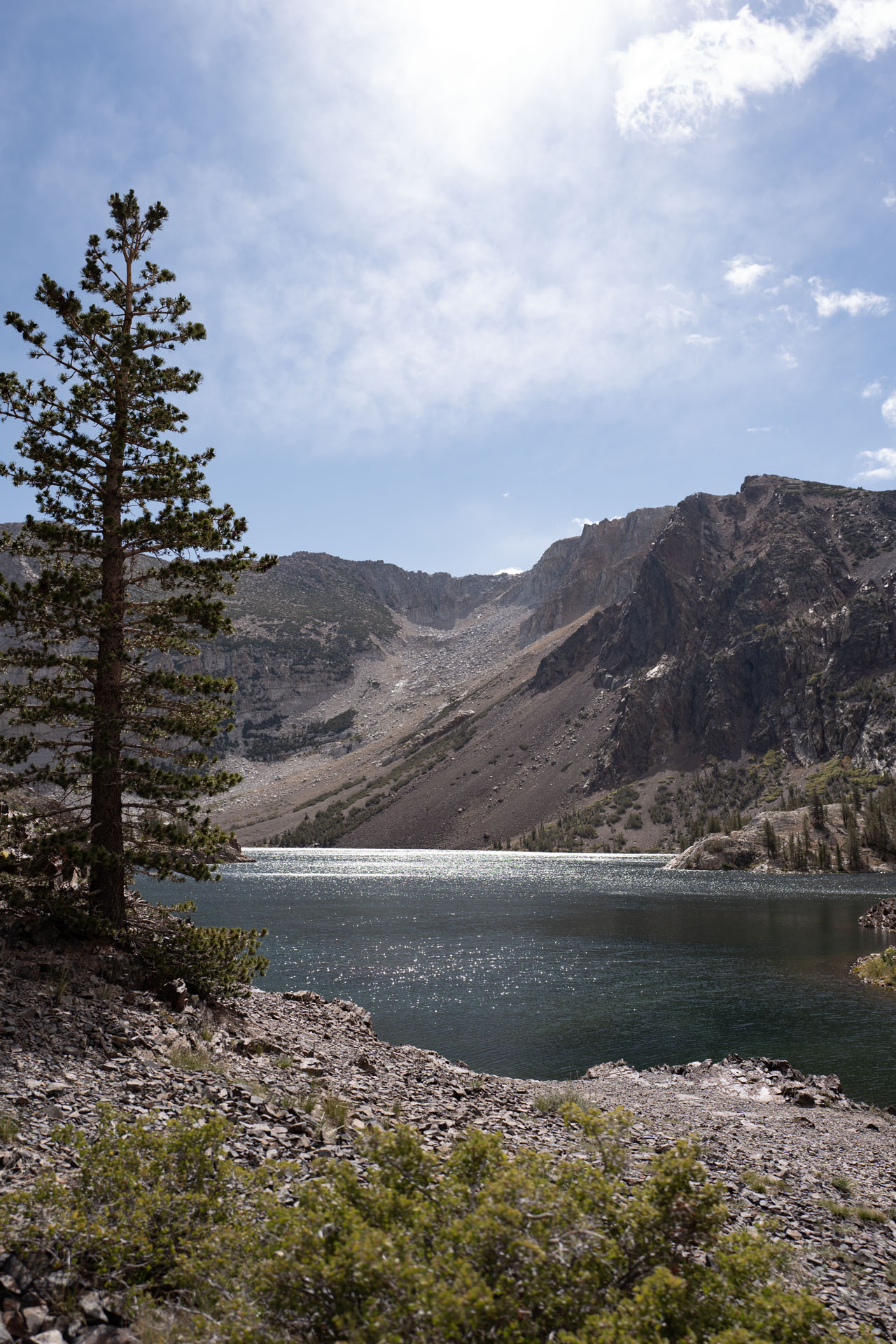 Blick über den Ellery Lake am Tioga Pass