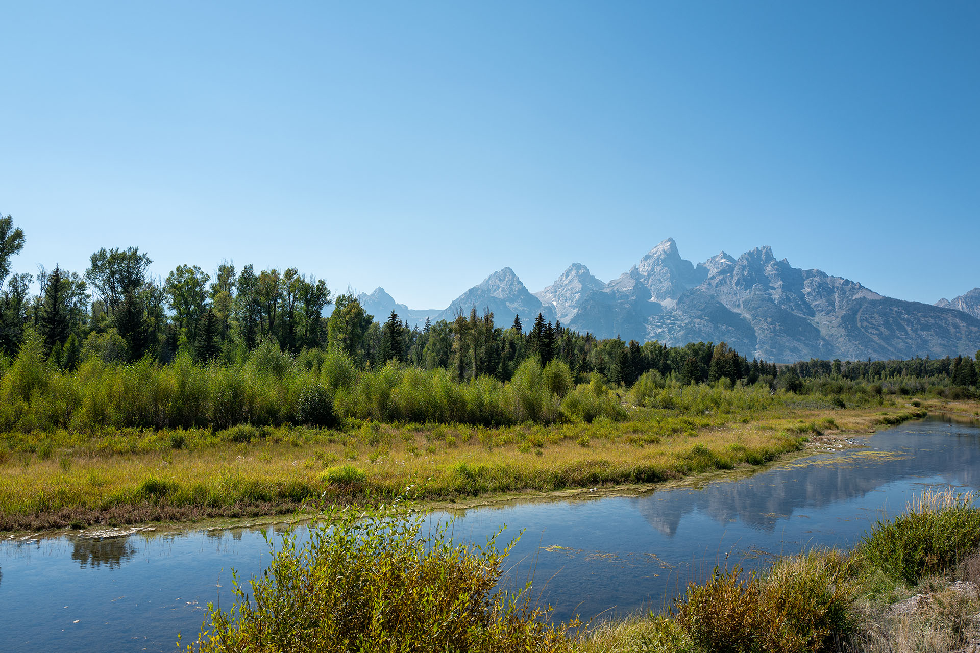 Schwabacher Landing im Grand Teton Nationalpark