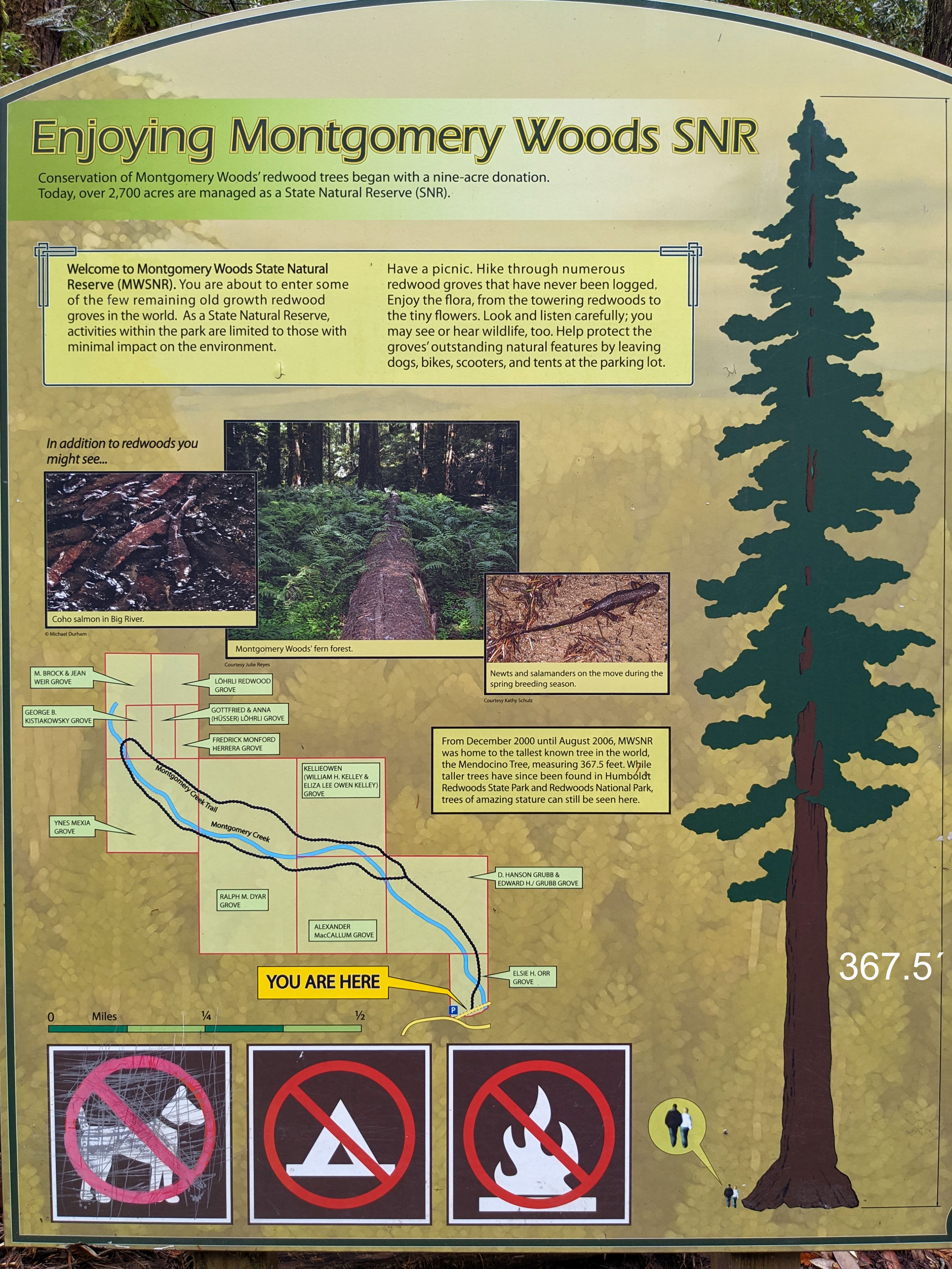 Infotafel im Montgomery Woods State Natural Reserve