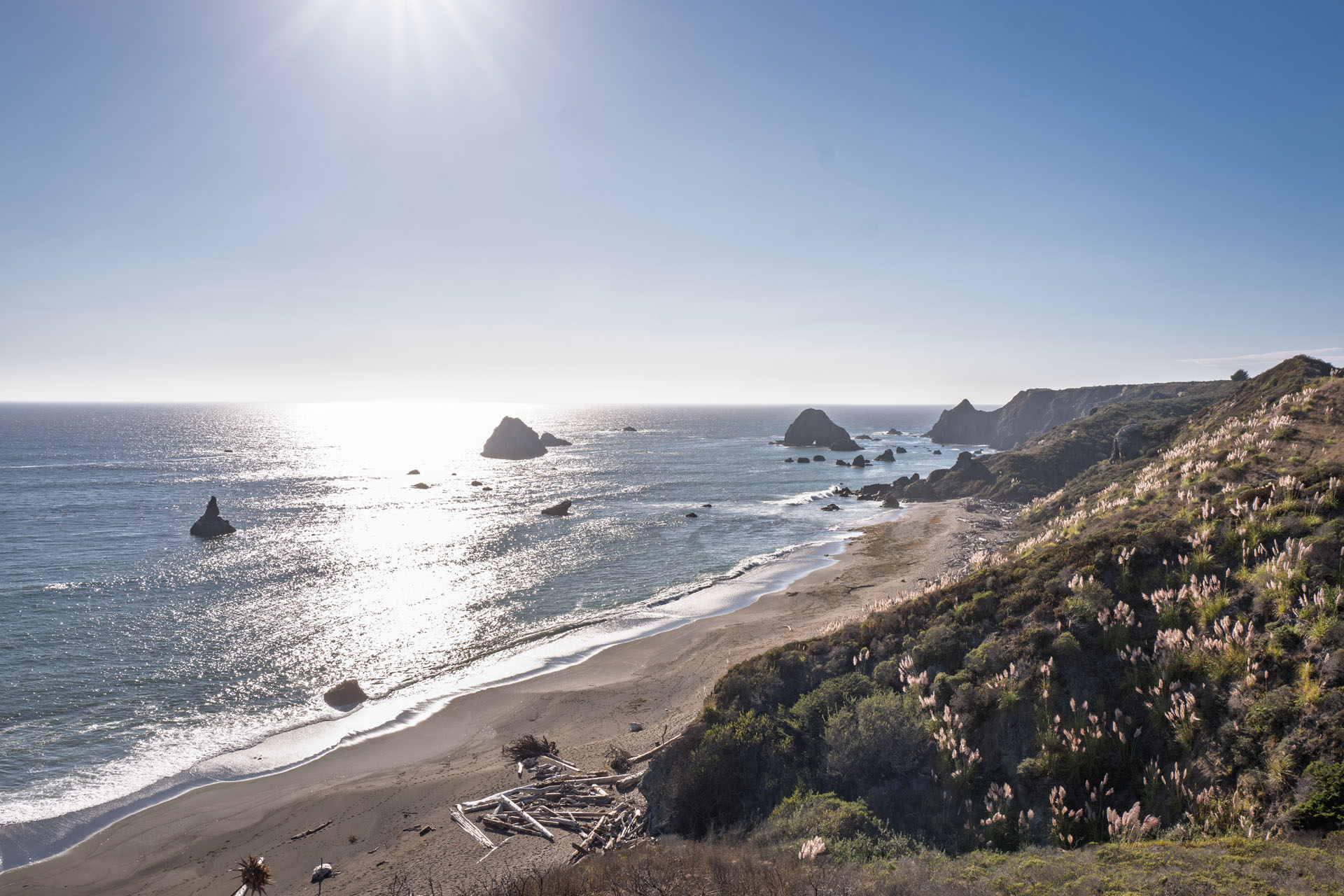 Jenner Beach am Highway 1