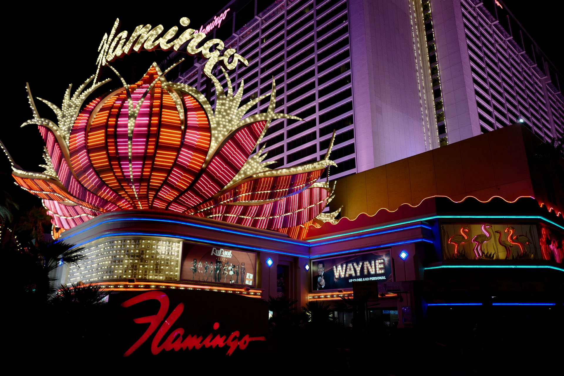 Flamingo Hotel & Casino in Las Vegas