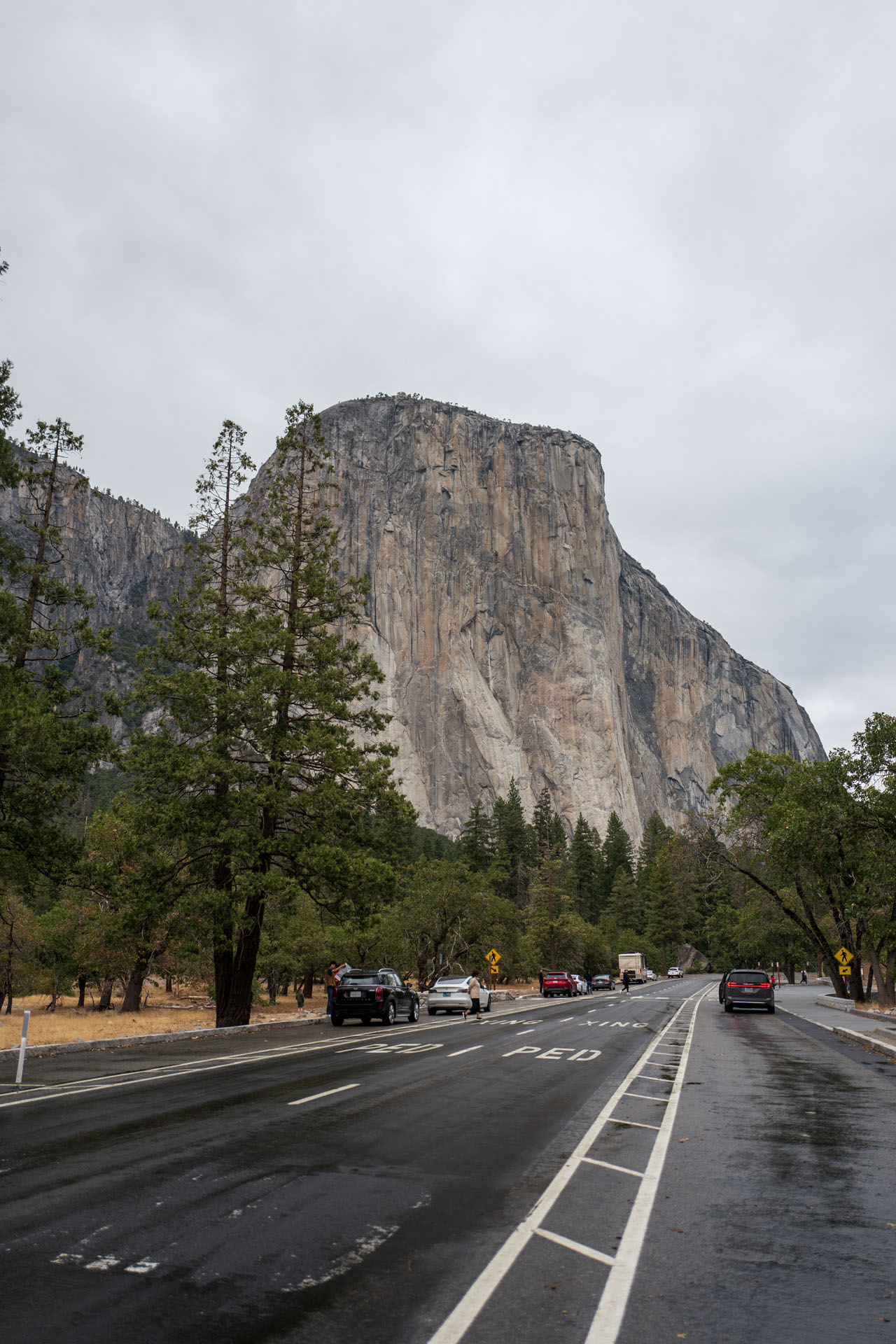 Blick auf die Steilwand des El Capitam im Yosemite