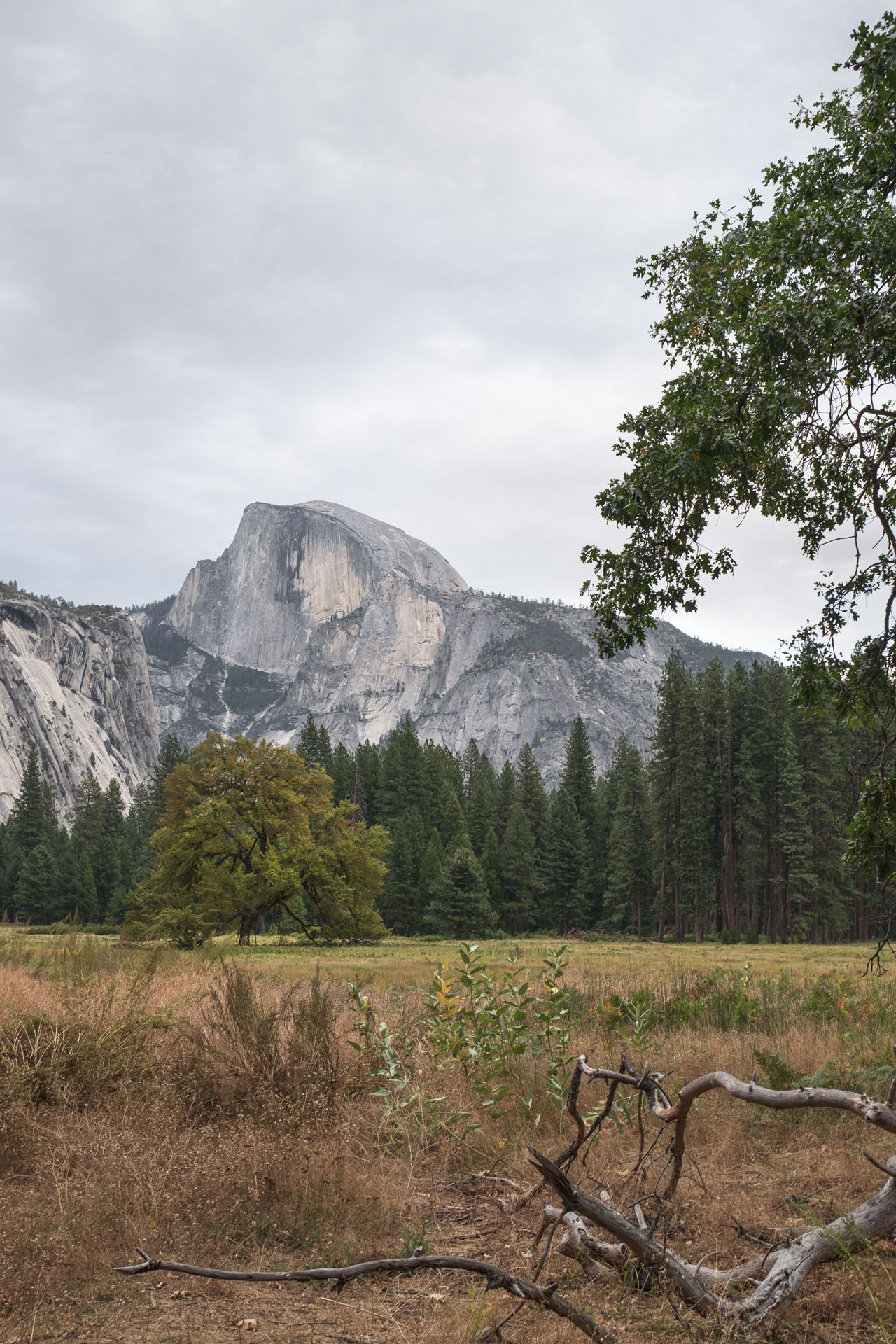 Blick auf den Half Dome im Yosemite