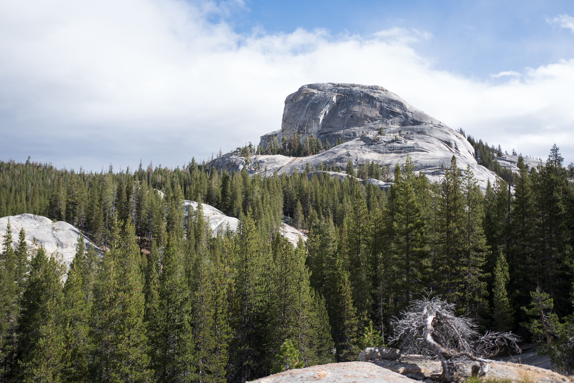 Blick auf den West Cottage Dome im Yosemite