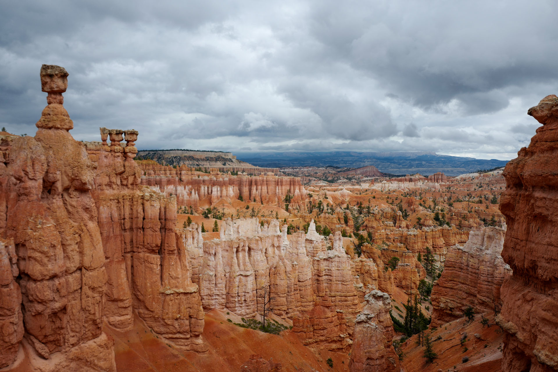 View over the Bryce Canyon